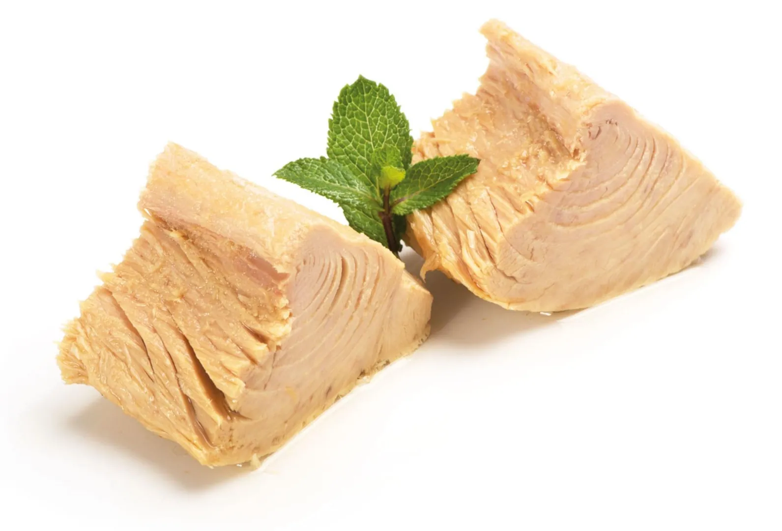 atun-conservas-arlequin