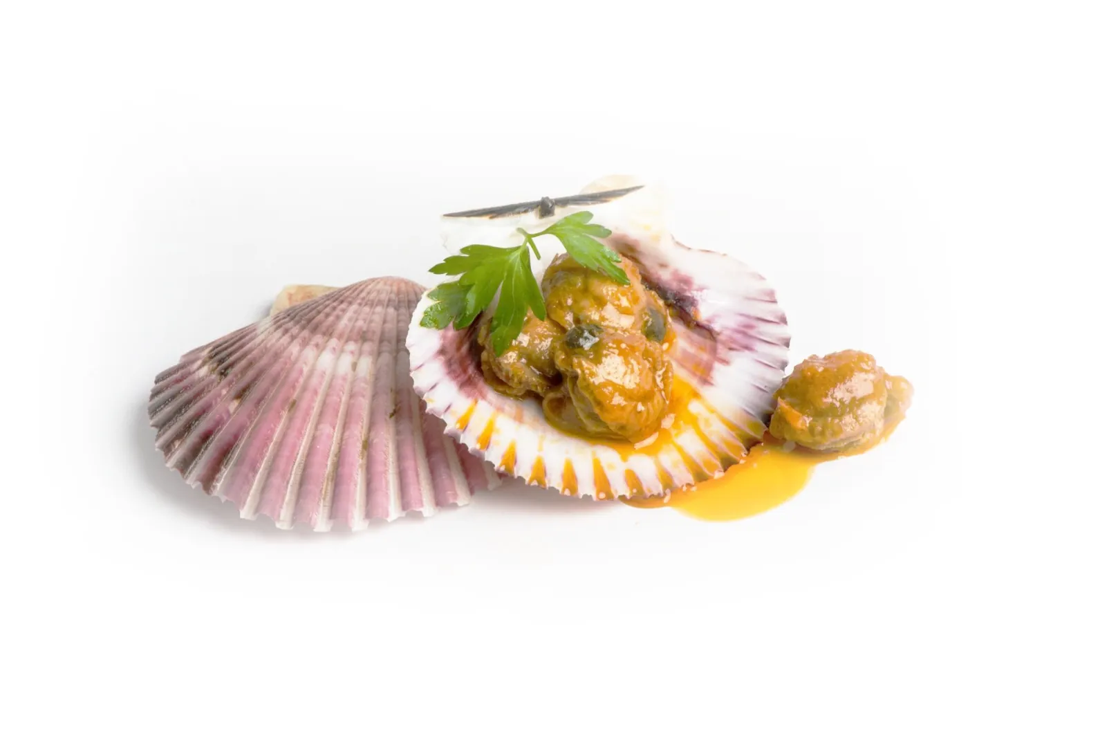 zamburinas-conservas-arlequin-latest